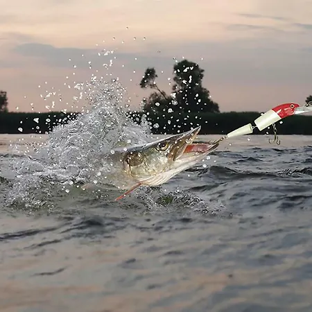 بيت للعطل H.winkler *