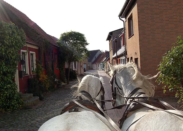 Casa de Férias H.winkler Neukalen