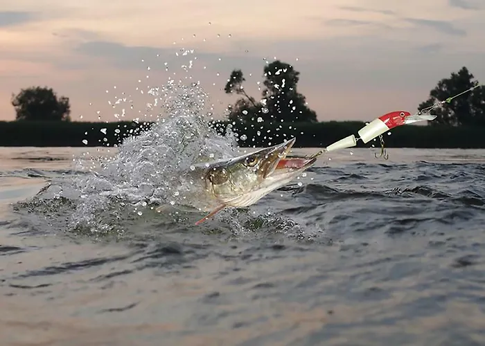 Casa de Férias H.winkler *